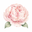 DigiBouquet AI logo