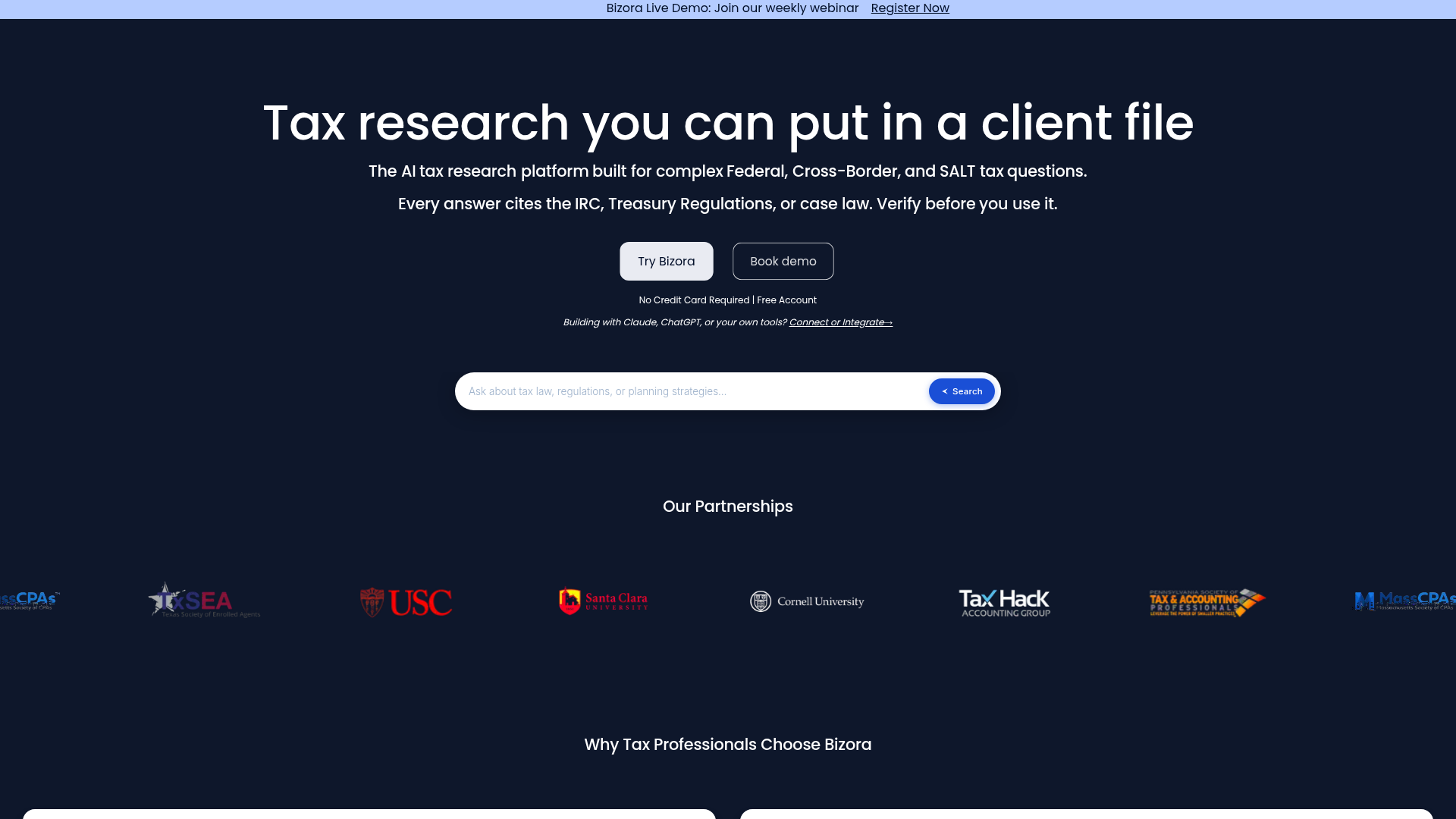 Bizora AI screenshot 1