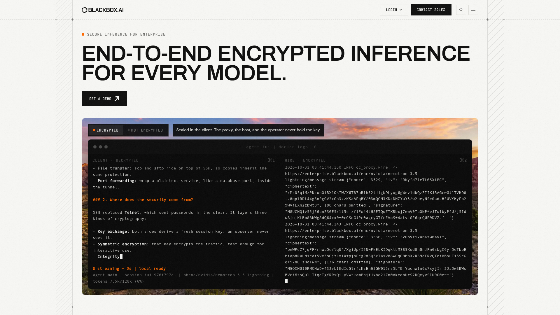 Blackbox AI screenshot 1
