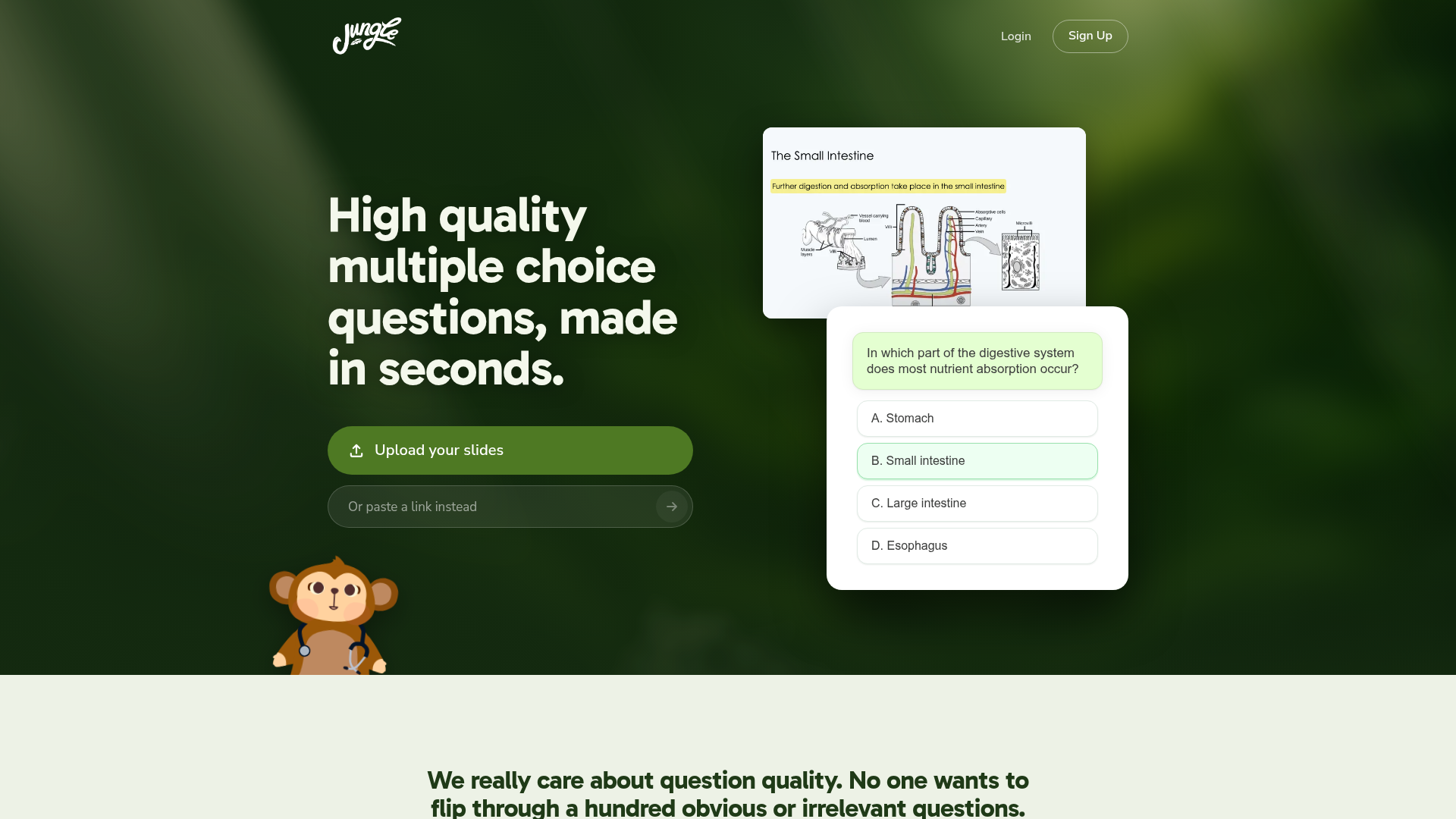 Jungle screenshot 1