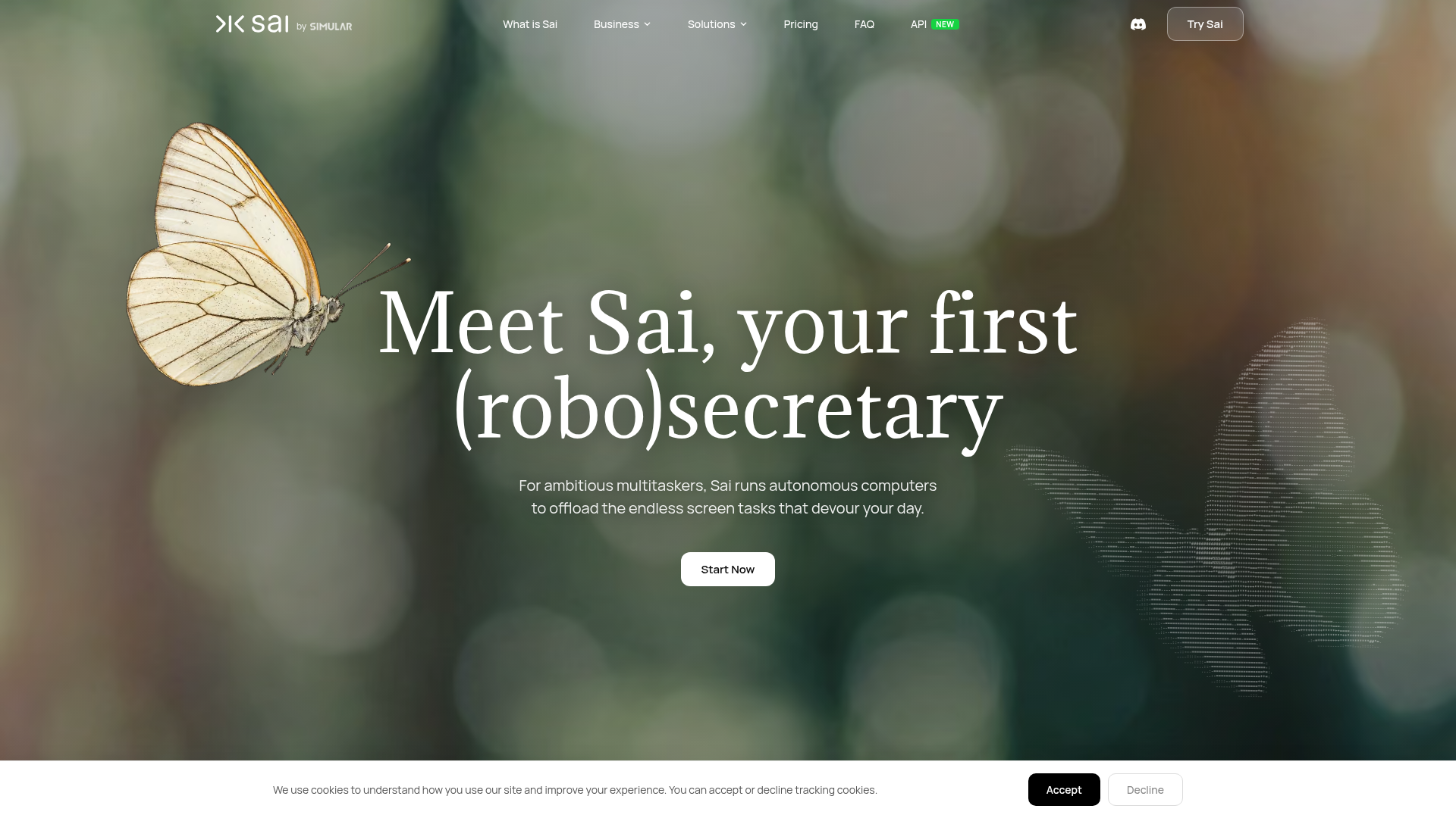 Sai screenshot 1