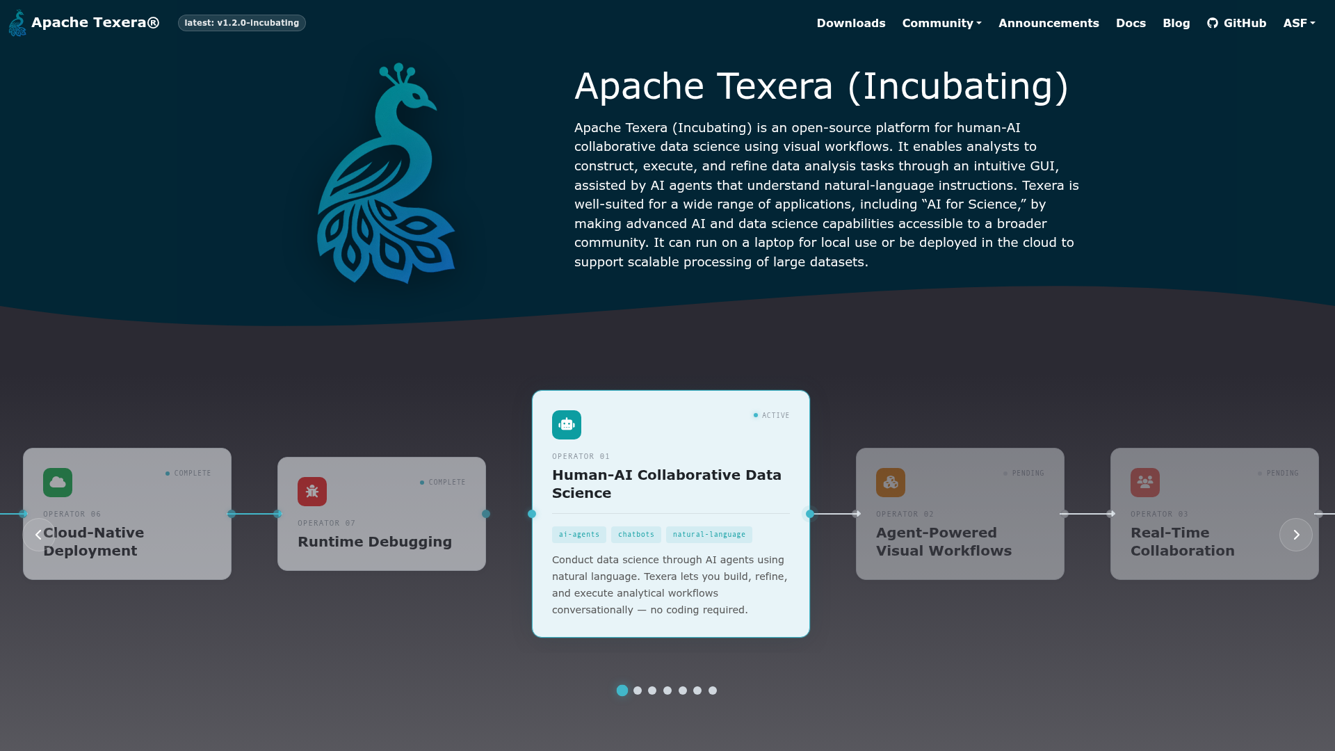 texera screenshot 1